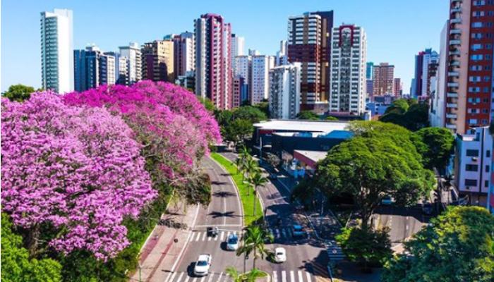 Advogado Empresarial em Maringá - Martinhago Advocacia | Advogados Especialistas em Defesa dos Seus Direitos